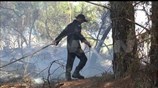 Φωτιά στο Καλαμάκι Ζακύνθου