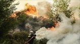 Πυρκαγιά στον Κάλαμο