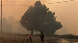 Πυρκαγιά στον Κάλαμο -upd
