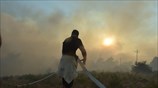 Πυρκαγιά στον Βαρνάβα Αττικής