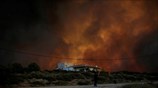 Καταστροφική πυρκαγιά στον Βαρνάβα Αττικής