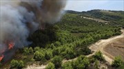 Εκκένωση χωριού λόγω της πυρκαγιάς στην Αμαλιάδα