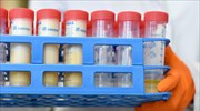 Αυστρία: Προϊόντα αβγών μολυσμένα με εντομοκτόνο στην αγορά