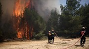 Σε χαράδρα στο Μικροχώρι το κύριο πύρινο μέτωπο στην Ανατ. Αττική