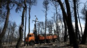 Βουλευτές και στελέχη της Ν.Δ. στις πληγείσσες περιοχές από τις πυρκαγιές