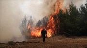 Προς Πολυδένδρι κατευθύνεται η πυρκαγιά