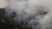 Πορτογαλία: 91 συλλήψεις για εμπρησμούς το 2017