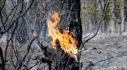 Πυροσβεστική: Υπό έλεγχο 56 νέες πυρκαγιές το τελευταίο 24ωρο