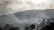 Πυρκαγιά σε αγροτοδασική έκταση στο Μαρκόπουλο Αττικής