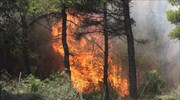 Πολύ υψηλός ο κίνδυνος πυρκαγιάς στην Αττική