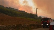 Πυροσβεστική: Ιδιαίτερα δύσκολη η κατάσταση στη Ζάκυνθο