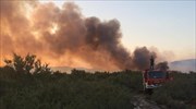 Πυρκαγιά στον Ίασμο Ροδόπης
