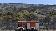 Υπό μερικό έλεγχο η πυρκαγιά στην Ηλεία