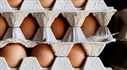 Καθησυχαστικός ο ΕΦΕΤ για την ουσία fipronil σε αυγά και προϊόντα τους στην Ελλάδα