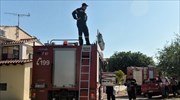 Αρχαία Κόρινθος: Πέντε συλλήψεις για τον θανάσιμο τραυματισμό του τρίχρονου παιδιού