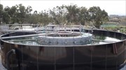 Τη μη διανομή μερίσματος αποφάσισε η Envitec