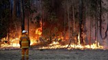 Πυρκαγιά στη Νέα Νότια Ουαλία