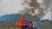 Πυρκαγιές σε Φάρσαλα και Ελασσόνα