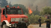 Συνεχίζεται η μάχη με τις φλόγες στο Κούτσι Νεμέας