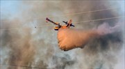 Πυρκαγιά στην περιοχή Μονή Αγκαράθου Ηρακλείου
