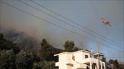 Χαλκιδική: Εκκένωση σπιτιών λόγω της πυρκαγιάς στη Μόλα Καλύβα