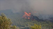Qatari investment vehicle says wildfires have blocked its Zakynthos plans