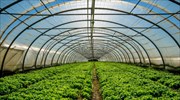Bill aims to expand use of geothermal energy in ag sector, heating