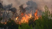 Πυρκαγιά στην Παλαιοκαρυά Αγρινίου