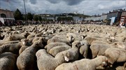 Εκατοντάδες πρόβατα στους δρόμους της Λυών