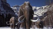 «Ice Age. Στην εποχή των Παγετώνων»: Διαδραστική έκθεση στον «Ελληνικό Κόσμο»