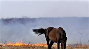 Πυρκαγιές στην Ισπανία