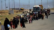 Μοσούλη: Μαζικός εμβολιασμός 1 εκατ. ζώων για τον κίνδυνο ασθενειών