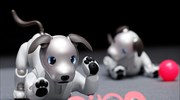 Η Sony «ανέστησε» τον, προικισμένο με τεχνητή νοημοσύνη, ρομποτικό της σκύλο, AIBO