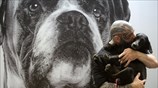 «Discover Dogs 2017»: Ένα φεστιβάλ αφιερωμένο στους σκύλους