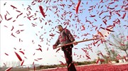 Καλλιεργώντας κόκκινες πιπεριές στην Κίνα