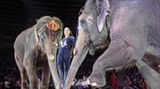 Ιταλία: Απαγόρευση ζώων στο τσίρκο