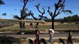 Συνεχίζεται η κρίση των Ροχίνγκια 