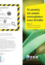 Οι μεσαίες και μικρές επιχειρήσεις στην Ελλάδα