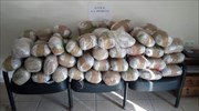 Ιωάννινα: Κατασχέθηκε ινδική κάνναβη 230 κιλών