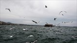 Στιγμιότυπο από τη Θεσσαλονίκη