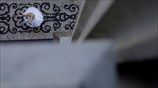 Διαμαρτυρία με...πιρουέτες στη Βραζιλία