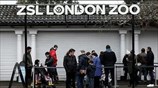 Άνοιξε ξανά ο ζωολογικός κήπος του Λονδίνου
