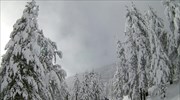 Βασιλίτσα: Τι έδειξε η ιατροδικαστική εξέταση για τον θάνατο του σκιέρ