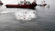 Κάλυμνος: Ελέγχουν τους κολυμβητές για τον Σταυρό λόγω Τσίπρα