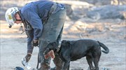 Συνεχίζονται οι έρευνες για αγνοούμενους στην Καλιφόρνια