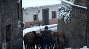 Κτηνοτροφικές δραστηριότητες στην Ισπανία