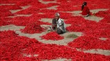 Καθημερινή ζωή στο Αχμενταμπάντ