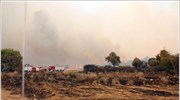 Πυρκαγιά έκαψε ποιμνιοστάσιο και αρκετά ζώα στα Φάρσαλα