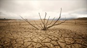 Ν. Αφρική: Κήρυξη της χώρας σε κατάσταση έκτακτης καταστροφής λόγω ξηρασίας