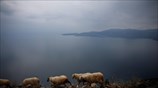 Χειμωνιάτικο σκηνικό στην Ιτέα